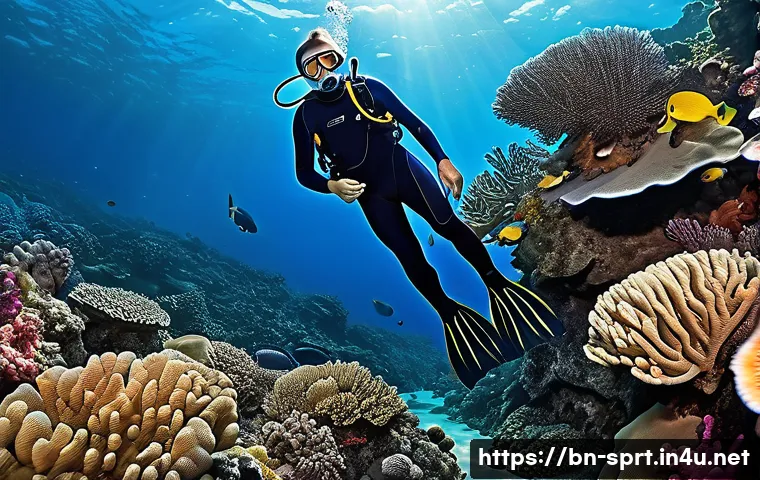 가성비 좋은 다이빙용 핀 관련 이미지 1